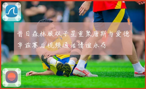 昔日森林狼双子星重聚唐斯与爱德华兹赛后视频通话情谊永存