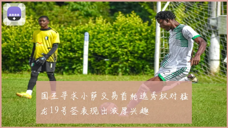 国王寻求小萨交易首轮选秀权对猛龙19号签表现出浓厚兴趣